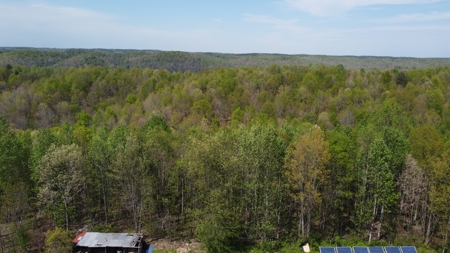 Country Home for Sale in Perry County, Tennessee - image 12