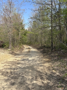 Country Home for Sale in Perry County, Tennessee - image 13