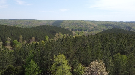 Country Home for Sale in Perry County, Tennessee - image 10