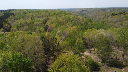 Country Home for Sale in Perry County, Tennessee - image 7
