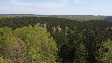 Country Home for Sale in Perry County, Tennessee - image 11