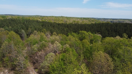 Country Home for Sale in Perry County, Tennessee - image 14