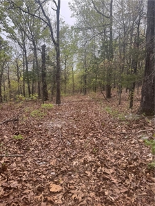 120 Acres Hunting/Creek Front Land Property For Sale Lead Hill - image 25