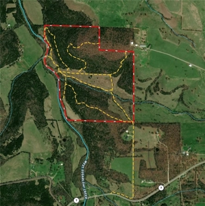 120 Acres Hunting/Creek Front Land Property For Sale Lead Hill - image 2