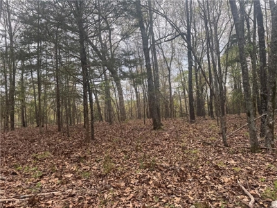 120 Acres Hunting/Creek Front Land Property For Sale Lead Hill - image 24