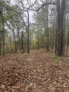 120 Acres Hunting/Creek Front Land Property For Sale Lead Hill - image 23