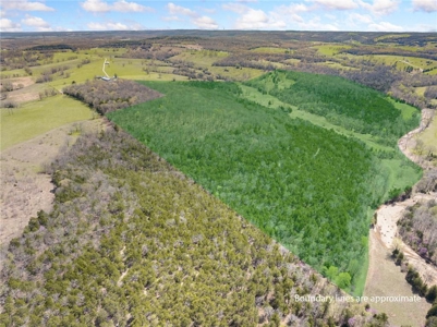 120 Acres Hunting/Creek Front Land Property For Sale Lead Hill - image 19