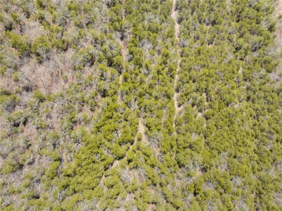 120 Acres Hunting/Creek Front Land Property For Sale Lead Hill - image 22