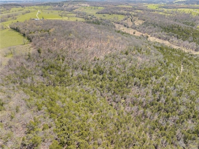 120 Acres Hunting/Creek Front Land Property For Sale Lead Hill - image 20