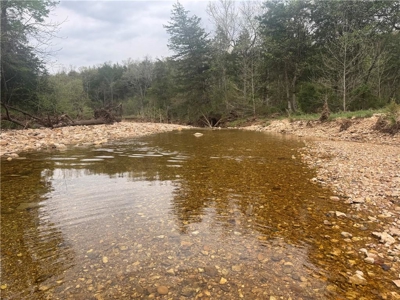 120 Acres Hunting/Creek Front Land Property For Sale Lead Hill - image 3