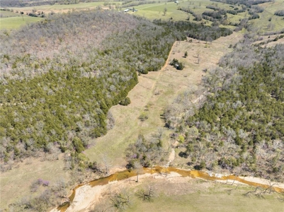 120 Acres Hunting/Creek Front Land Property For Sale Lead Hill - image 16