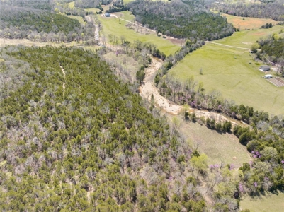 120 Acres Hunting/Creek Front Land Property For Sale Lead Hill - image 1