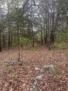 120 Acres Hunting/Creek Front Land Property For Sale Lead Hill - image 17