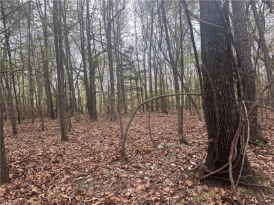 120 Acres Hunting/Creek Front Land Property For Sale Lead Hill - image 14