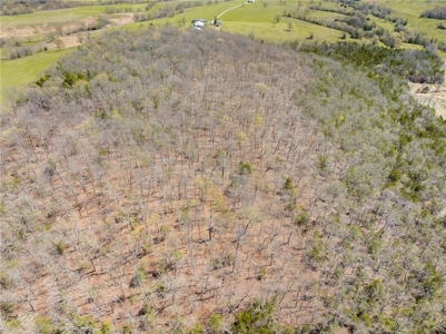 120 Acres Hunting/Creek Front Land Property For Sale Lead Hill - image 21