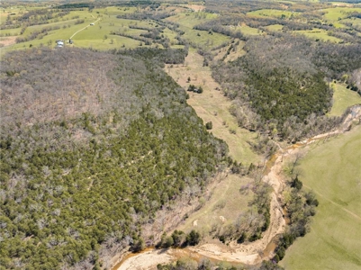 120 Acres Hunting/Creek Front Land Property For Sale Lead Hill - image 18