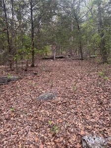120 Acres Hunting/Creek Front Land Property For Sale Lead Hill - image 26
