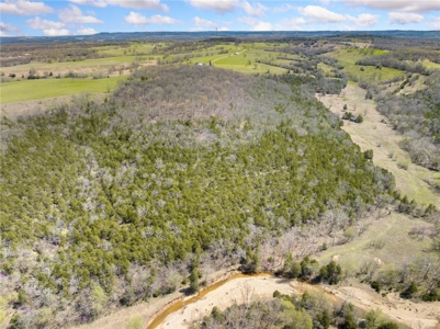 120 Acres Hunting/Creek Front Land Property For Sale Lead Hill - image 15