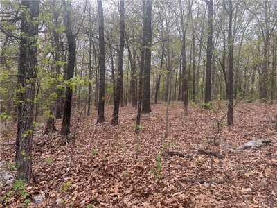 120 Acres Hunting/Creek Front Land Property For Sale Lead Hill - image 13