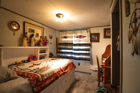 Home for Sale Henry County Missouri - image 18