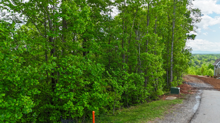 Huge Lot For Sale at The Coves Mountain River Club - Caldwell Co. - image 14