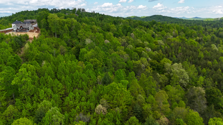 Huge Lot For Sale at The Coves Mountain River Club - Caldwell Co. - image 6
