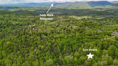 Huge Lot For Sale at The Coves Mountain River Club - Caldwell Co. - image 2