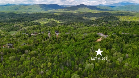 Huge Lot For Sale at The Coves Mountain River Club - Caldwell Co. - image 1