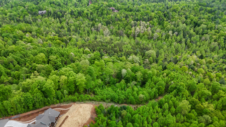 Huge Lot For Sale at The Coves Mountain River Club - Caldwell Co. - image 7