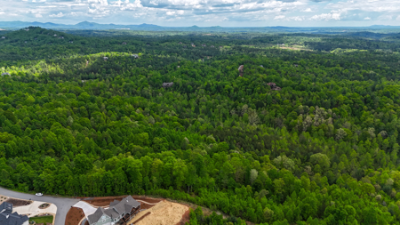 Huge Lot For Sale at The Coves Mountain River Club - Caldwell Co. - image 3