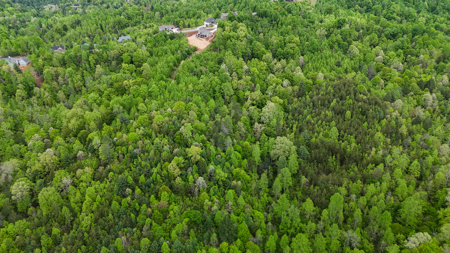 Huge Lot For Sale at The Coves Mountain River Club - Caldwell Co. - image 8