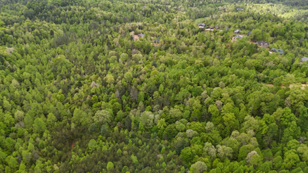 Huge Lot For Sale at The Coves Mountain River Club - Caldwell Co. - image 9