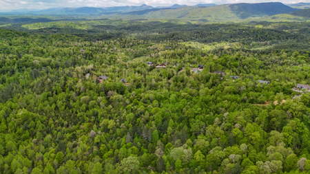 Huge Lot For Sale at The Coves Mountain River Club - Caldwell Co. - image 5