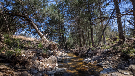 Home and Farm for sale in Howell County - image 43