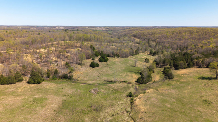 Home and Farm for sale in Howell County - image 44