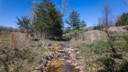 Home and Farm for sale in Howell County - image 42