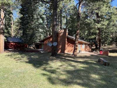 Mountain Cabin For Sale near Brazos Cliffs with Garage - image 22