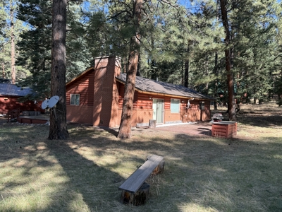 Mountain Cabin For Sale near Brazos Cliffs with Garage - image 21
