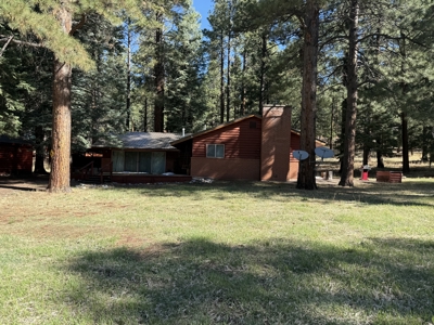 Mountain Cabin For Sale near Brazos Cliffs with Garage - image 20