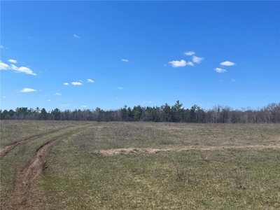 Recreational Land w/ Riverfront For Sale in Willow River MN - image 11