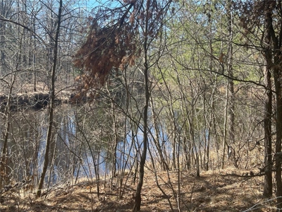 Recreational Land w/ Riverfront For Sale in Willow River MN - image 10