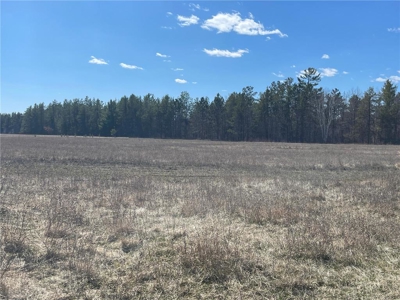 Recreational Land w/ Riverfront For Sale in Willow River MN - image 8