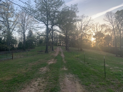 Equestrian Ranch At Gilbert For Sale - image 6