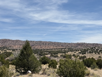 National Forest Surrounds this Beauty - image 2