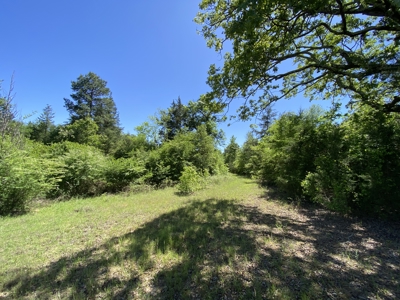 Marion County Hunting Land with Timber Potential - image 37