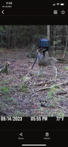 Marion County Hunting Land with Timber Potential - image 3
