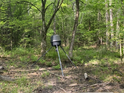 Marion County Hunting Land with Timber Potential - image 30
