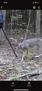 Marion County Hunting Land with Timber Potential - image 38