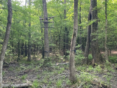 Marion County Hunting Land with Timber Potential - image 35