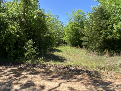 Marion County Hunting Land with Timber Potential - image 13